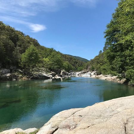 Chambre D'Hote Lavande - Le Soleil Des Cevennes Сен-Жан-дю-Гар Экстерьер фото