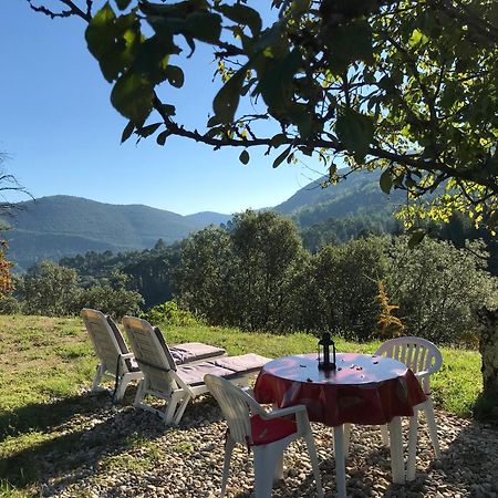 Chambre D'Hote Lavande - Le Soleil Des Cevennes Сен-Жан-дю-Гар Экстерьер фото