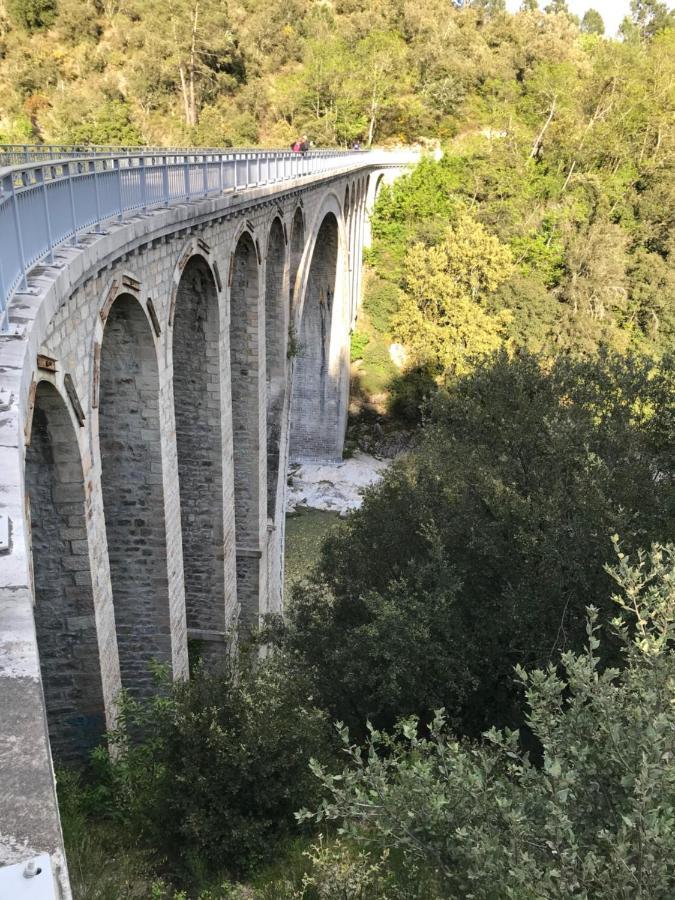 Chambre D'Hote Lavande - Le Soleil Des Cevennes Сен-Жан-дю-Гар Экстерьер фото