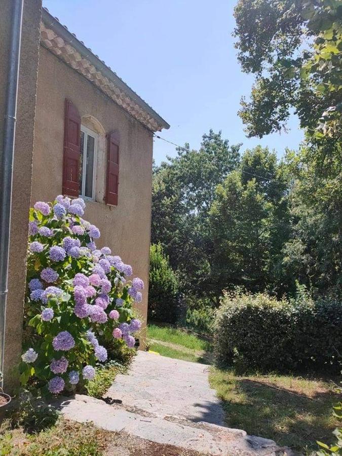 Chambre D'Hote Lavande - Le Soleil Des Cevennes Сен-Жан-дю-Гар Экстерьер фото