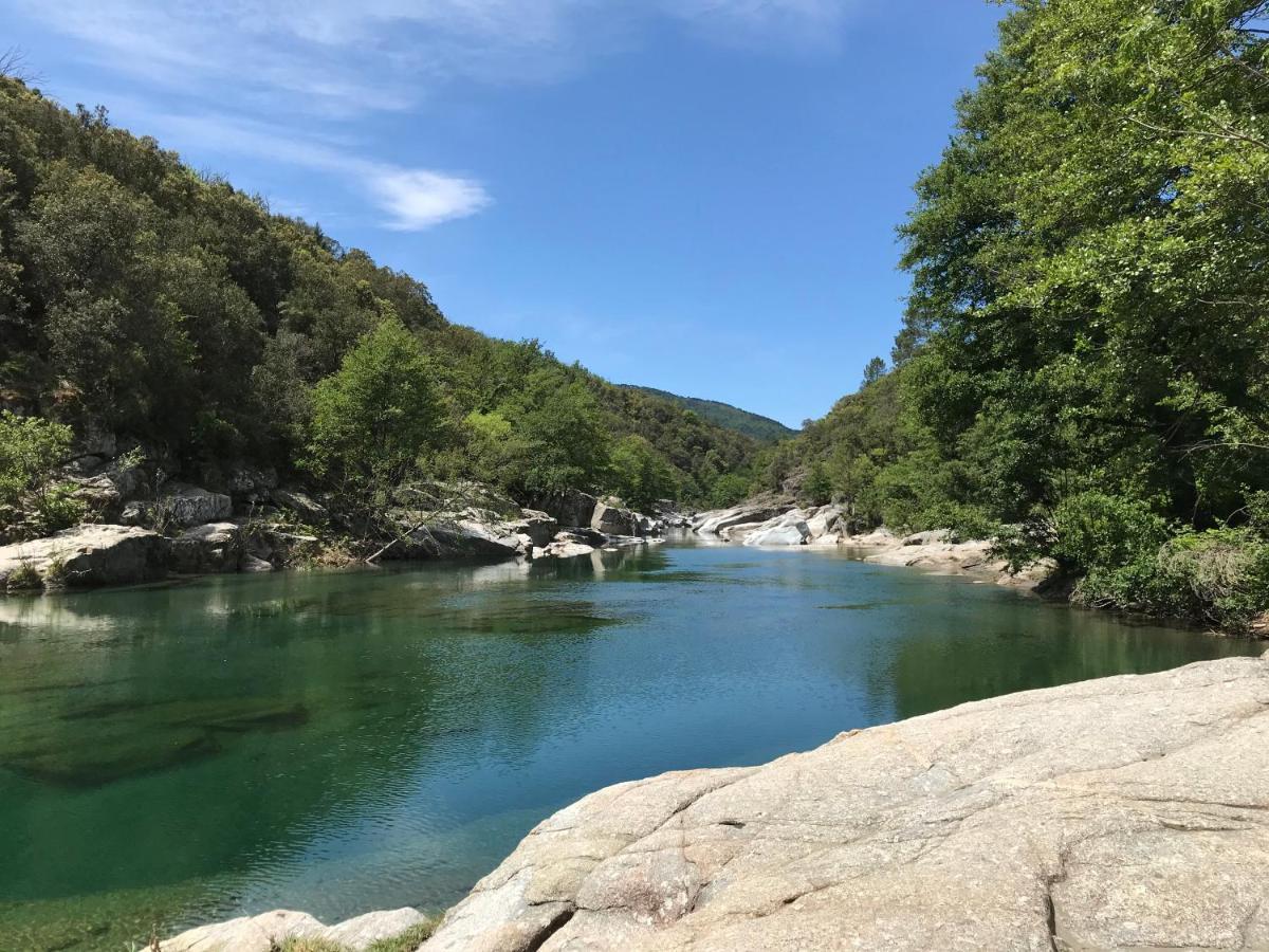 Chambre D'Hote Lavande - Le Soleil Des Cevennes Сен-Жан-дю-Гар Экстерьер фото