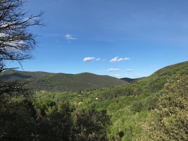 Chambre D'Hote Lavande - Le Soleil Des Cevennes Сен-Жан-дю-Гар Экстерьер фото
