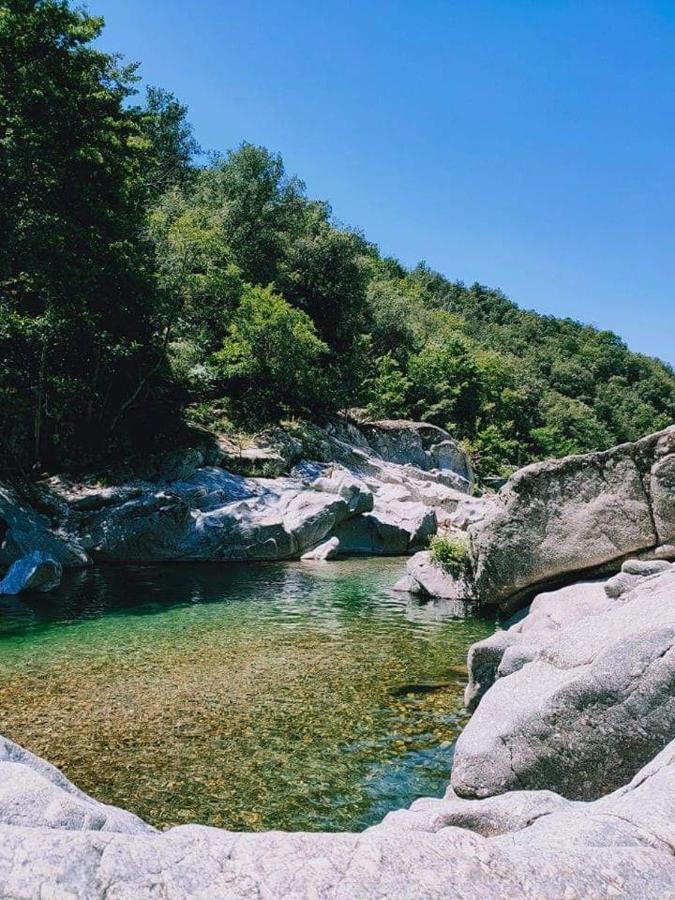 Chambre D'Hote Lavande - Le Soleil Des Cevennes Сен-Жан-дю-Гар Экстерьер фото